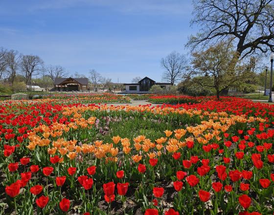 Wellfield Botanic Gardens