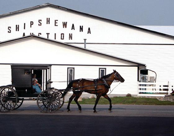 SHIPSHEWANA AUCTION