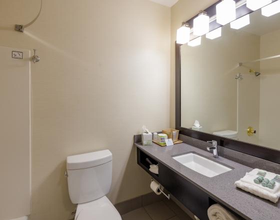 BEST WESTERN INN & SUITES OF ELKHART