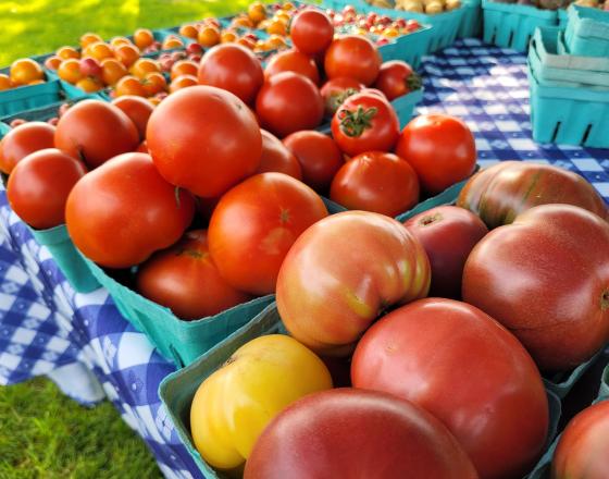 Elkhart Farmer's Market