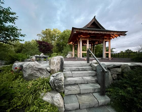 Wellfield Botanic Gardens