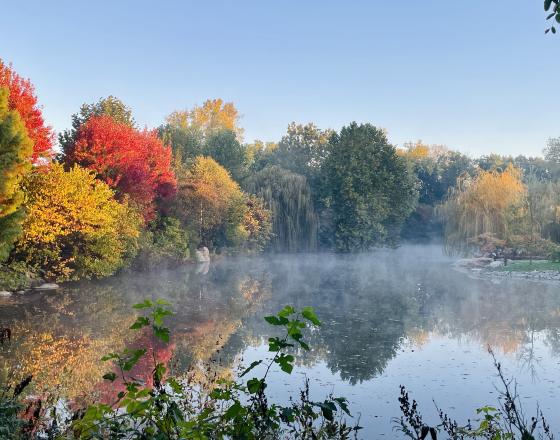 Wellfield Botanic Gardens