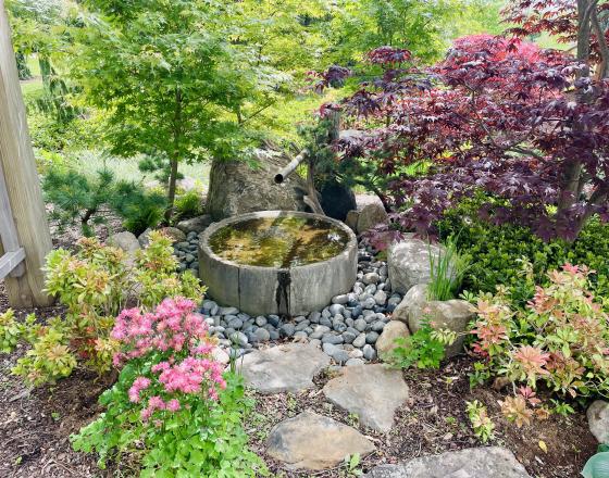 Wellfield Botanic Gardens