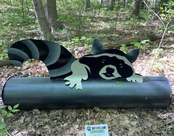 Woodland Creatures: Masked Bandit 1