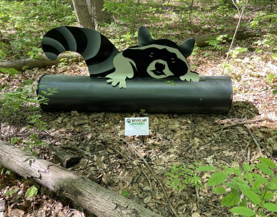 Woodland Creatures: Masked Bandit 2