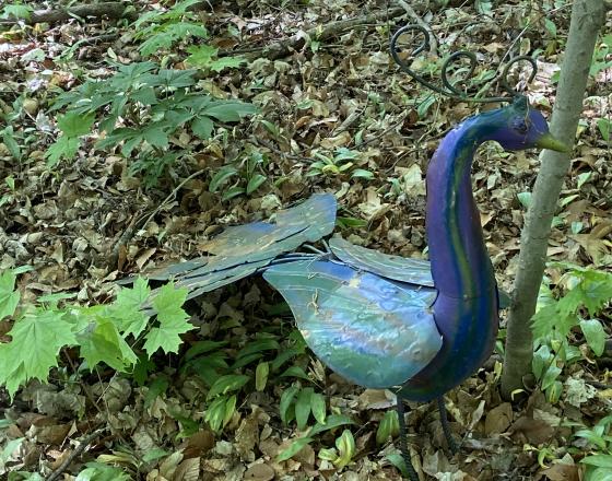 Woodland Creatures: Peacock