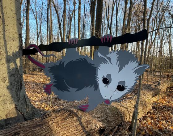 Peter J Opossum