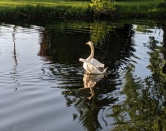 RIVERBEND PARK