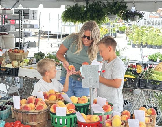 Shipshewana Flea Market