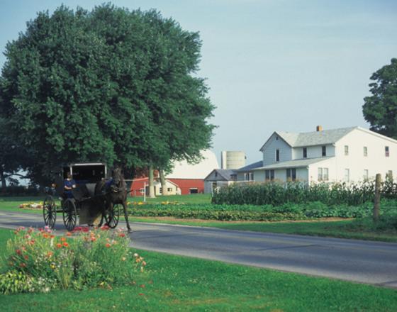 Visitors Love Country Road Experiences Along the Heritage Trail