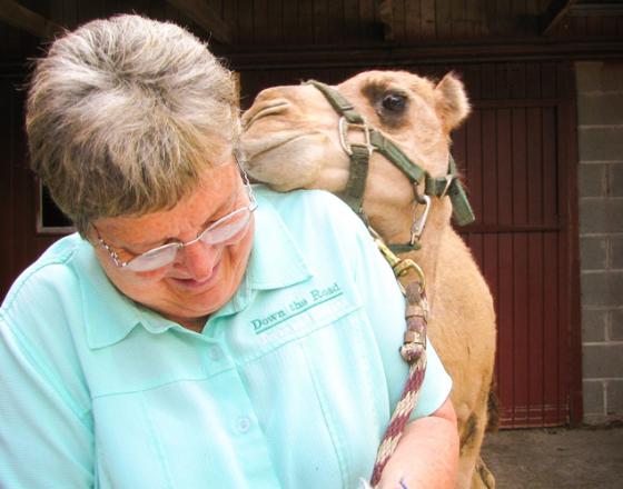 Dutch Creek Farm Animal Park