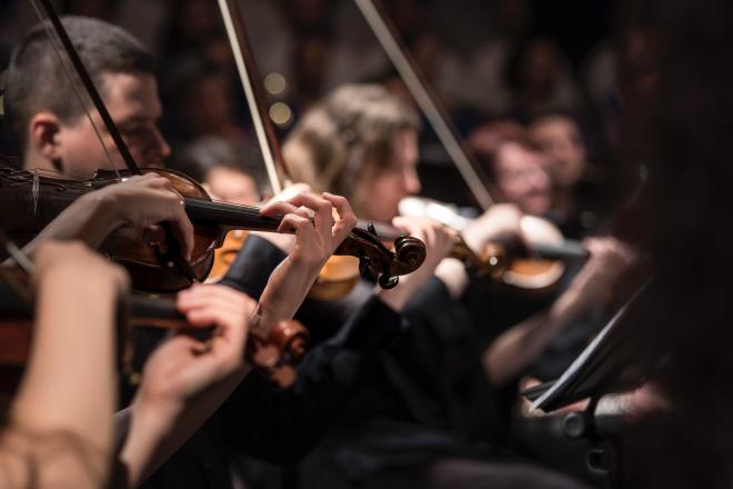 Violin players play their instruments during concert