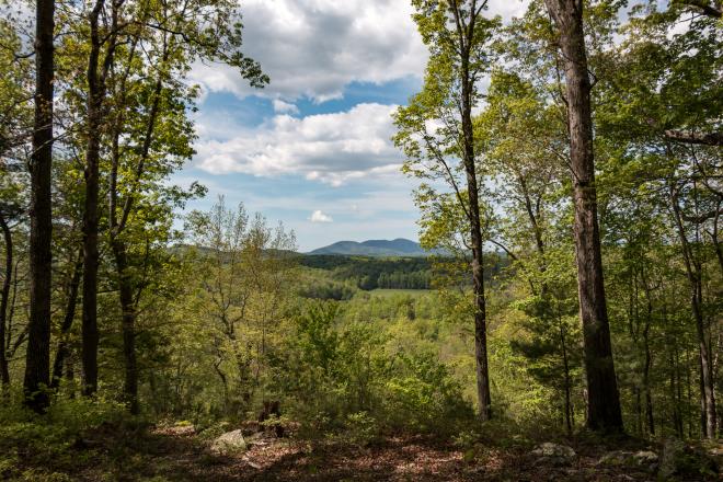Mountain view through trees at Fairy Stone State Park in Stuart, Virginia