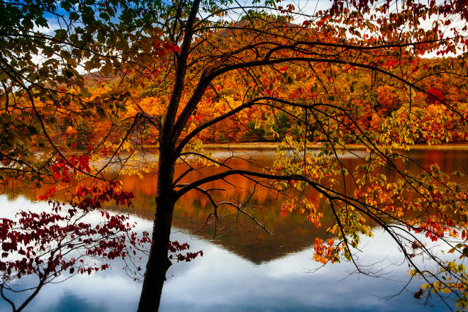 Fall Peaks of Otter