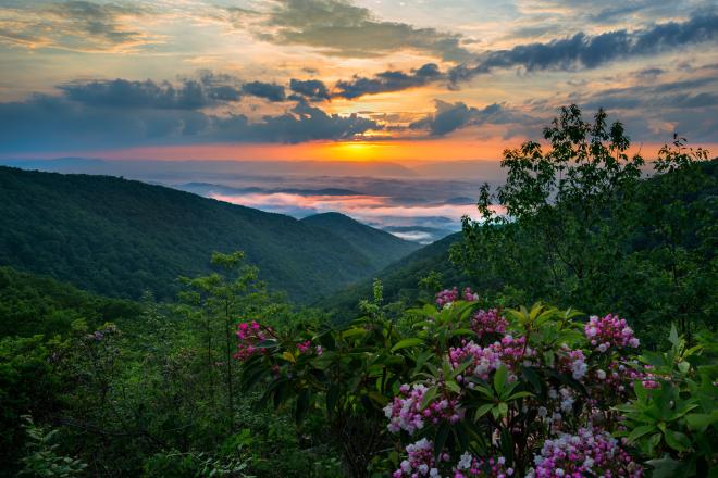 Iron Mine Hollow Blue Ridge Parkway Virginia