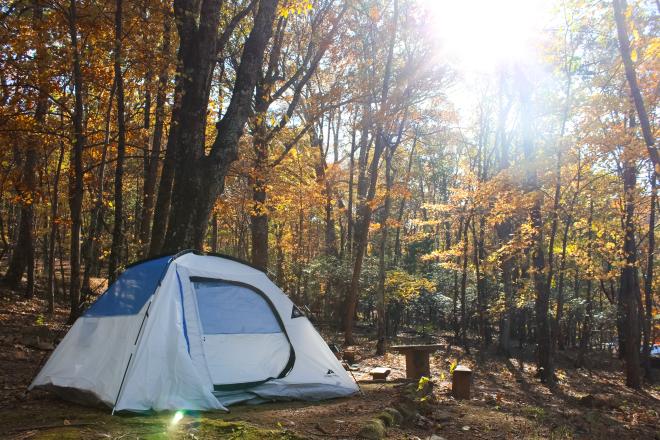 Tent and fall foliage at Peaks of Otter Campground