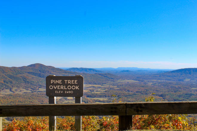 Pine Tree Overlook - Blue Ridge Parkway