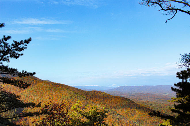 Poor Mountain Hiking Trail - Roanoke, Virginia