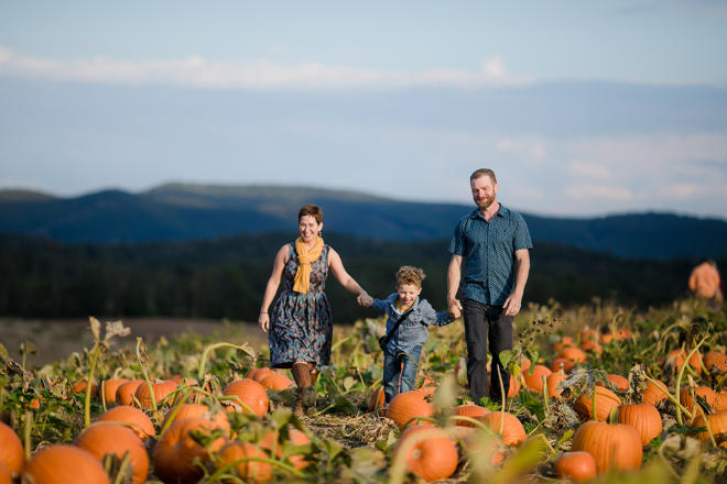 Sinkland Farms Fall Pumpkins