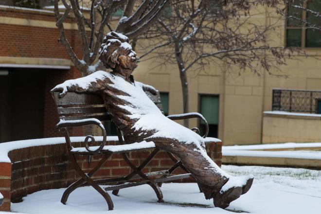 Einstein in the Snow
