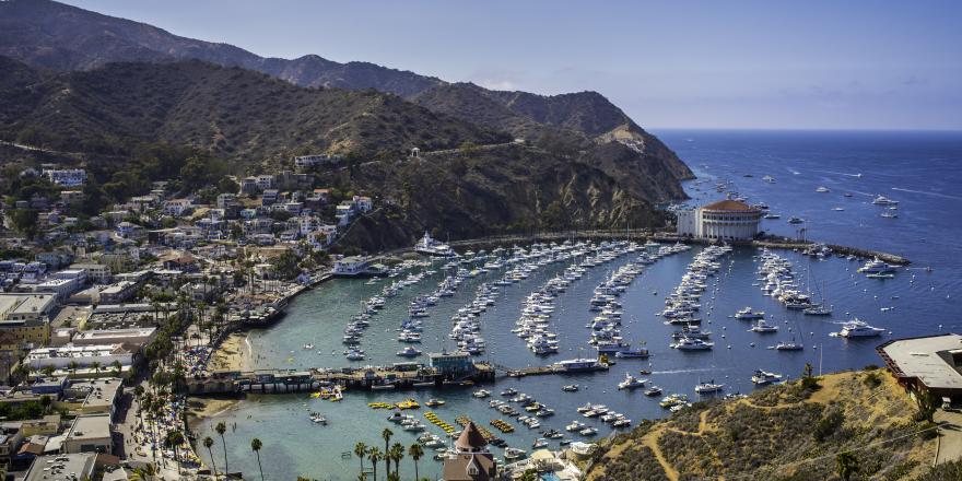 Aerial view of boats moored at the marina at Santa Catalina Island