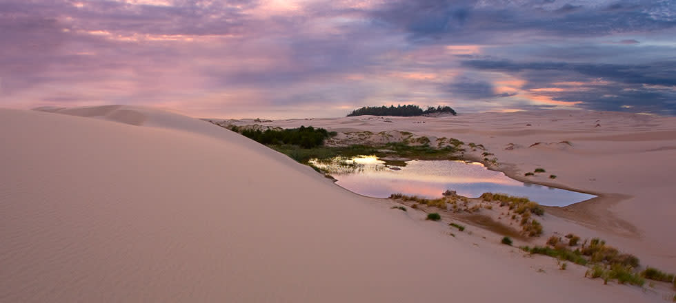 Oregon Dunes National Recreation Area, Florence, Oregon Coast by Curt Peters