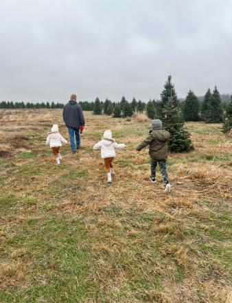 Cassen's Tree Farm