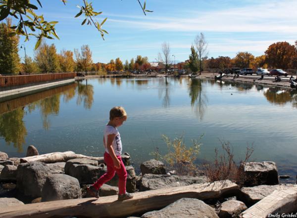 Tingley Beach: A Refreshing Albuquerque Respite 