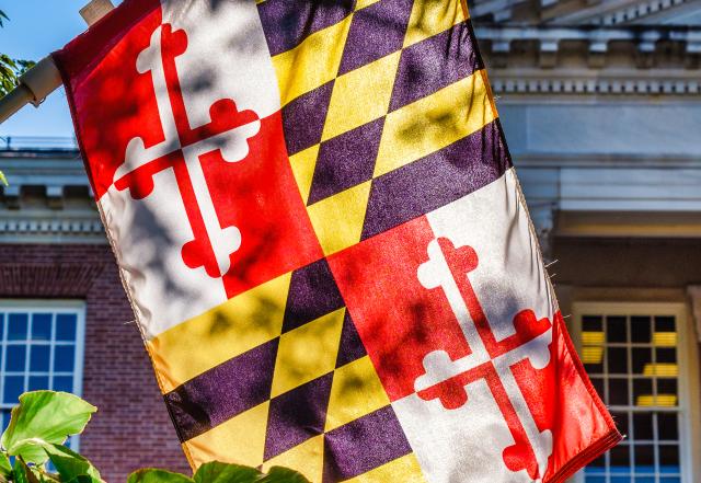 Maryland flag in yellow and red