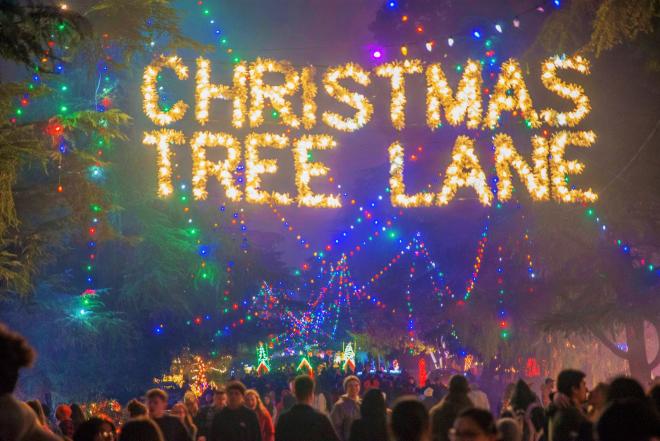 big crowd surrounded with christmas lights under luminous christmas tree lane sign