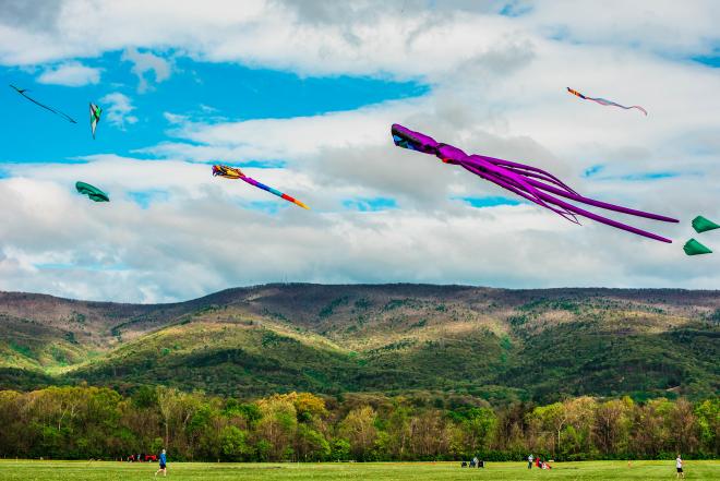 Blue Ridge Kite Festival - Green Hill Park - Roanoke County, Virginia