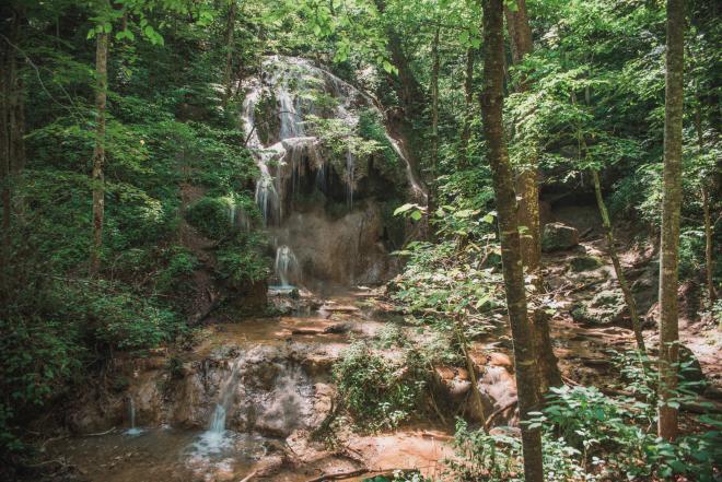 Falls Ridge Preserve - Waterfall Hike - Virginia