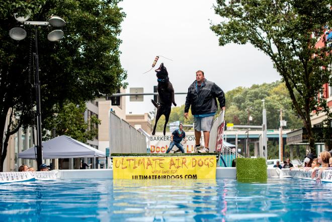 Air Dog Jumping - Roanoke GO Outside Festival
