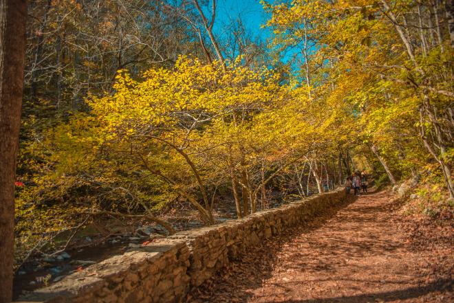 Fall Colors - Natural Bridge State Park - Virginia