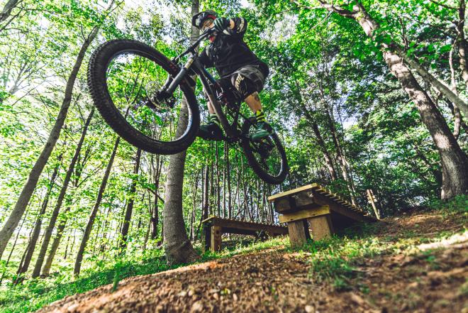 A mountain biker in mid-air after a jump in the forest.