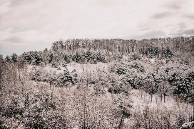 Snow - Virginia's Blue Ridge Mountains