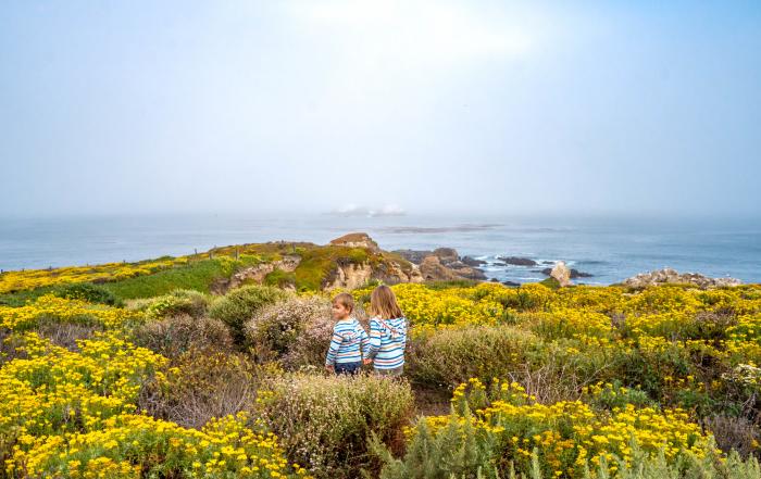 Two children walking near the coast at Big Sur in Monterey County