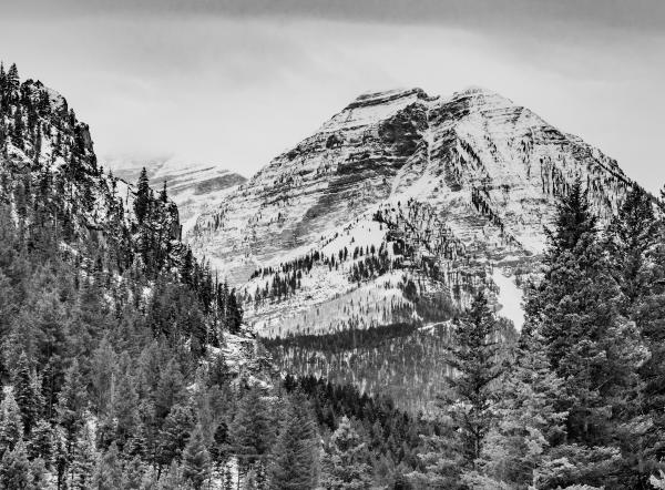 Tibble Fork