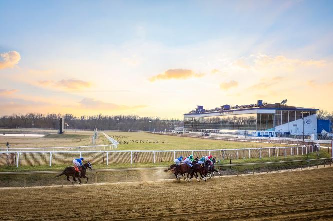 Laurel Park Racetrack