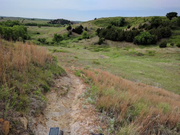 Switchgrass Trail