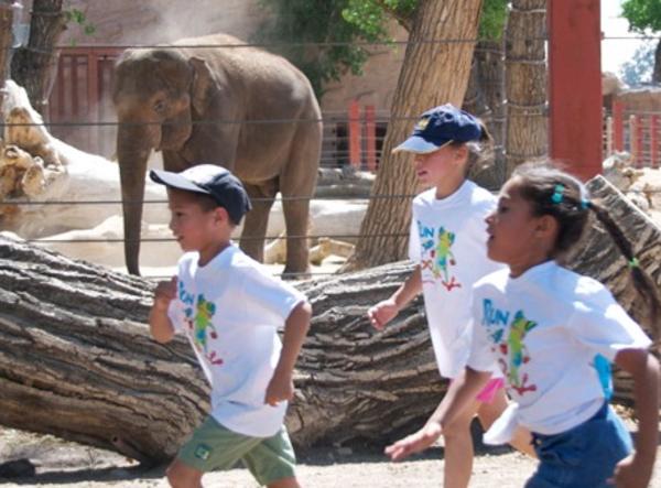 Kids running at the zoo