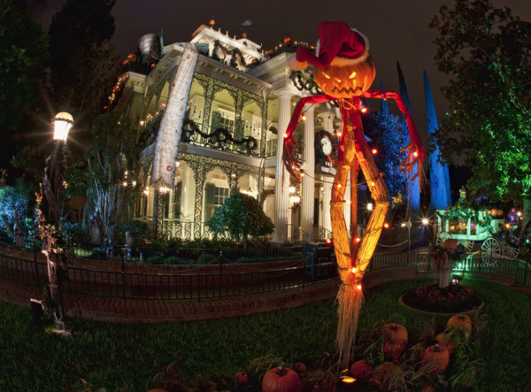 Disneyland Holidays!