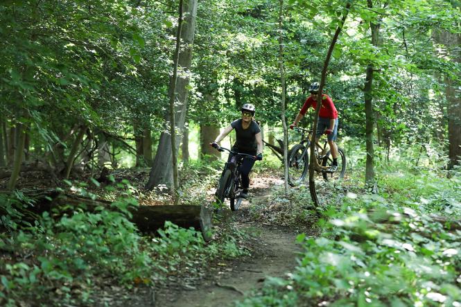 Mountain bikers biking Bacon Ridge Trail in Anne Arundel County.