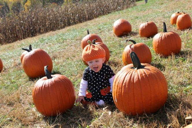 a little baby girl dressed like a pumpkin sits in a field of pumpkins at a pumpkin patch