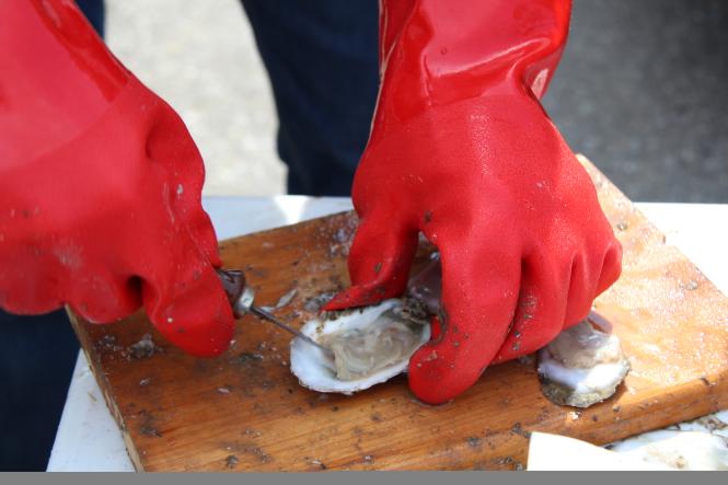 A man with red rubber gloves shucks an oyster.