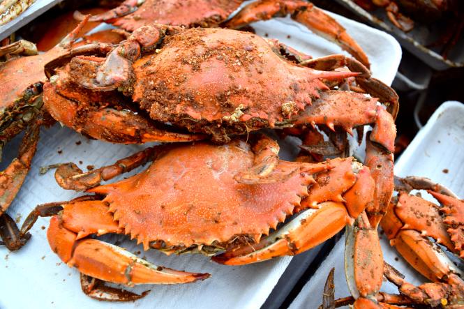 Worlds Largest Crab Feast