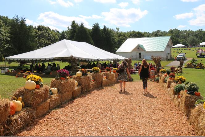 Hay bails and pumpkins line a path at a fall festival