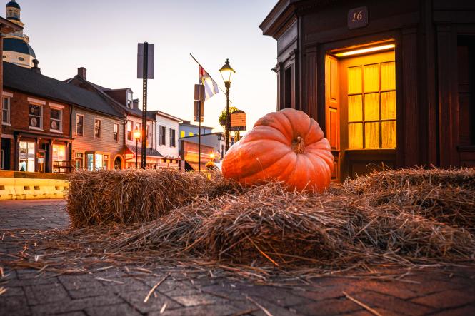 a giant pumpkin and hay in front of the historic Maryland Inn