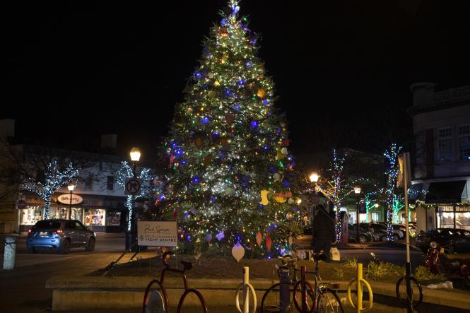 Annapolis Christmas tree lit up at City Dock