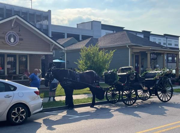 Carriage Rides Jeffersonville